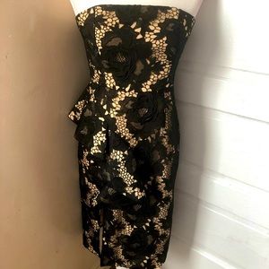 🆕 Style Stalker Lace Strapless Dress